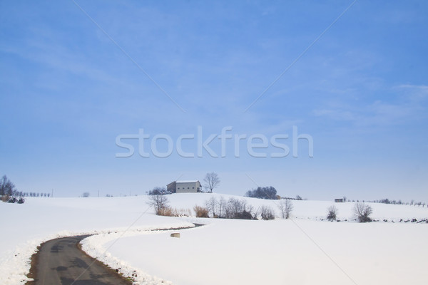 Snowscape Stock photo © Koufax73
