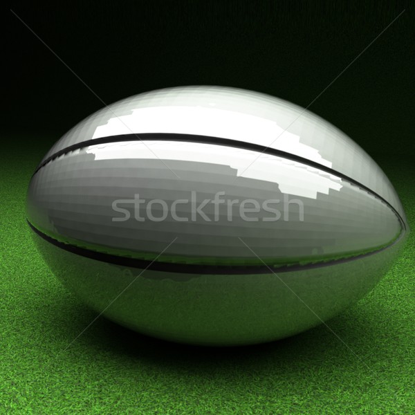 Rugby ball zielona trawa dziedzinie 3d placu obraz Zdjęcia stock © Koufax73