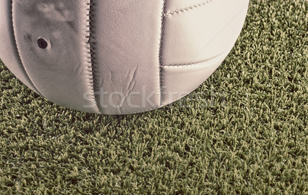 залп мяча белый зеленая трава области hdr Сток-фото © Koufax73