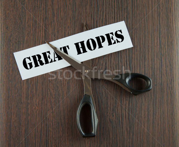 Cutting Great Hopes Stock photo © Koufax73