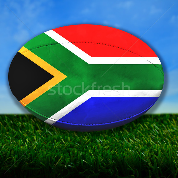 Sudáfrica rugby pelota de rugby bandera hierba deporte Foto stock © Koufax73