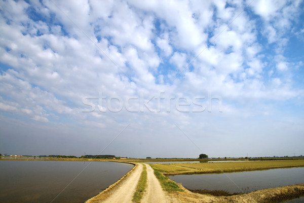 Yol gökyüzü kumlu pirinç alanları mavi Stok fotoğraf © Koufax73