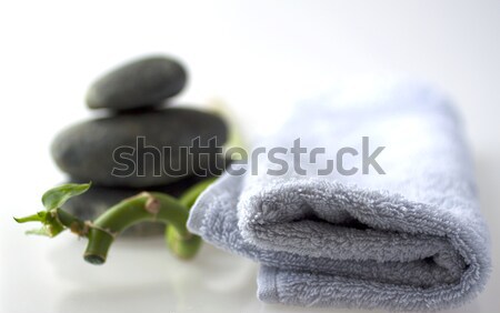 Bamboe tak stenen handdoek drie rivier Stockfoto © Koufax73