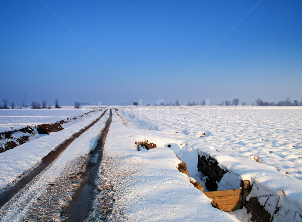 Snowscape Stock photo © Koufax73
