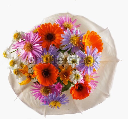 Flores margaritas otro naturaleza fondo Foto stock © Koufax73