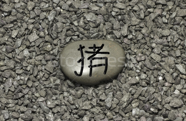 Kamień chińczyk wieprzowina symbol horoskop tle Zdjęcia stock © Koufax73
