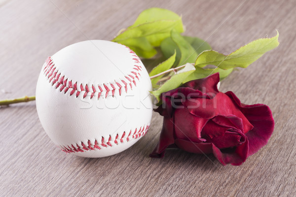 Zdjęcia stock: Baseball · wzrosła · czerwona · róża · poziomy · obraz