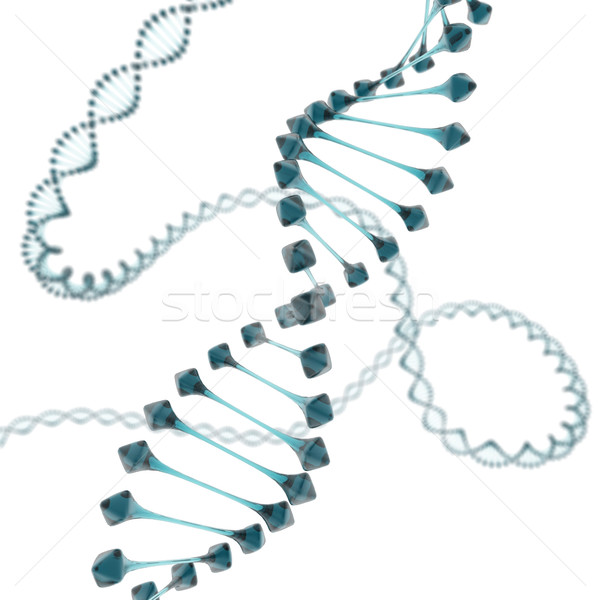 DNA 白 技術 醫藥 科學 化學 商業照片 © koya79