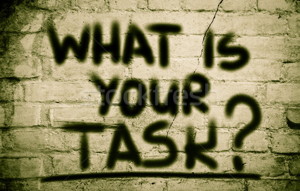 What Is Your Task Concept Stock photo © KrasimiraNevenova