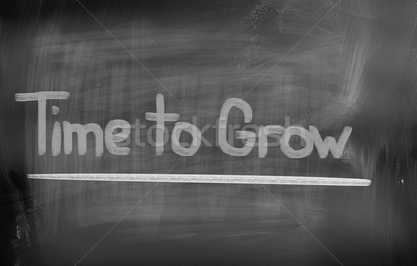Time To Grow Concept Stock photo © KrasimiraNevenova