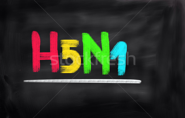 H5N1 Concept Stock photo © KrasimiraNevenova