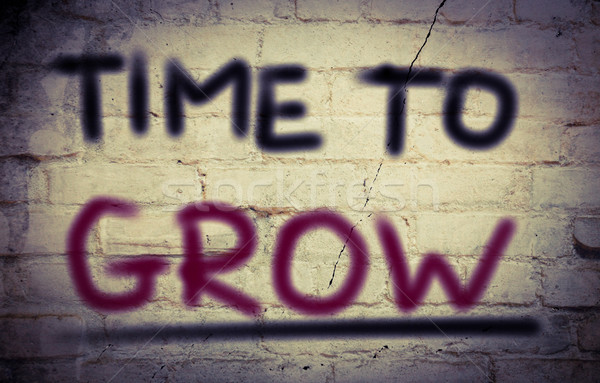 Time To Grow Concept Stock photo © KrasimiraNevenova