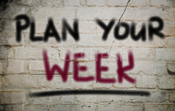 Plan Your Week Concept Stock photo © KrasimiraNevenova
