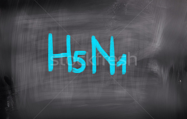 H5N1 Concept Stock photo © KrasimiraNevenova