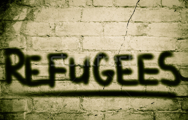 Migration Concept Stock photo © KrasimiraNevenova
