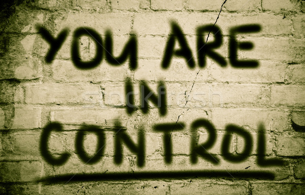 You Are In Control Concept Stock photo © KrasimiraNevenova