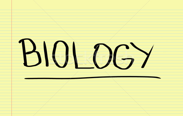 Biology Concept Stock photo © KrasimiraNevenova