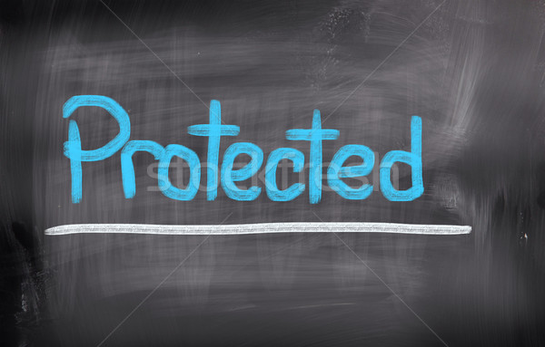 Protected Concept Stock photo © KrasimiraNevenova