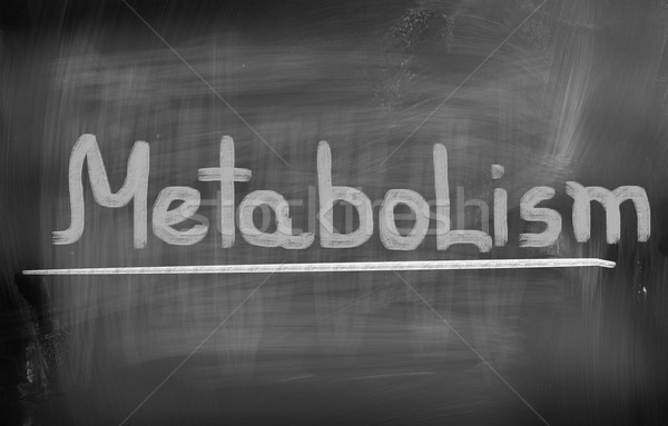 Metabolism Concept Stock photo © KrasimiraNevenova