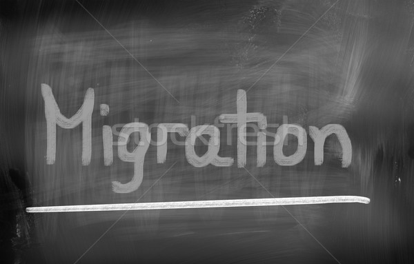 Migration Concept Stock photo © KrasimiraNevenova