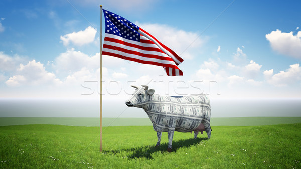 Cash Cow Stock photo © kravcs