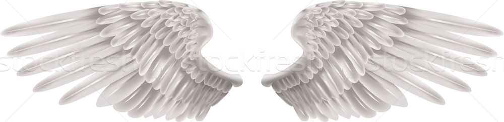 Stock foto: Weiß · Flügel · Illustration · Paar · schönen · Vogel