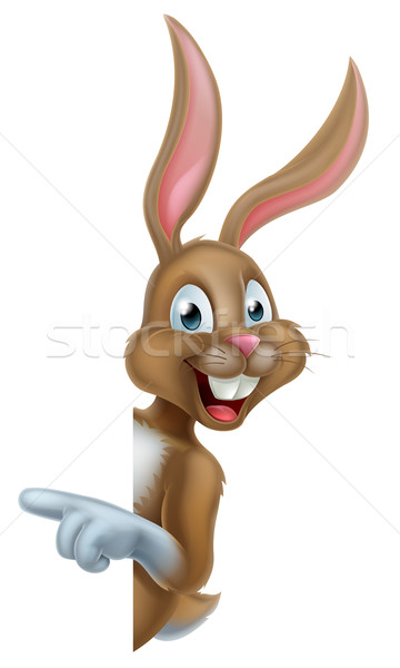 Bunny кролик указывая Cartoon Пасхальный заяц характер Сток-фото © Krisdog