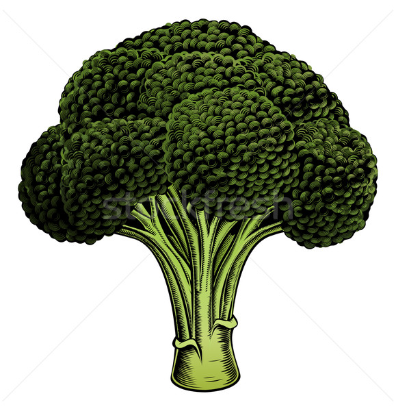 Broccoli vintage woodcut illustration Stock photo © Krisdog