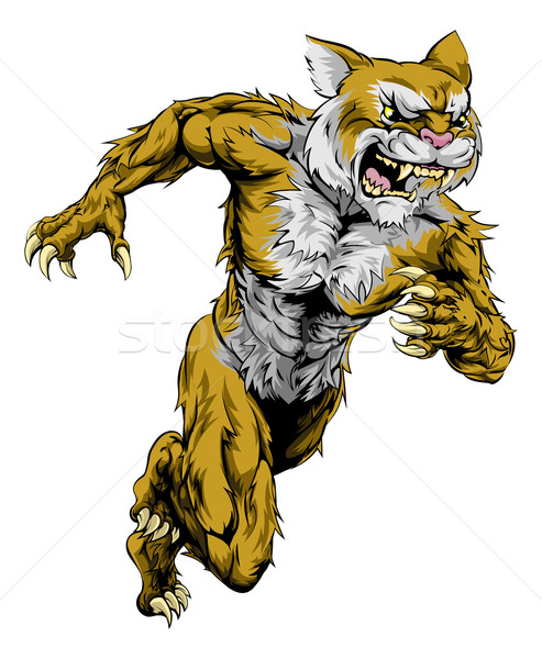 Wildcat sports mascot running Stock photo © Krisdog