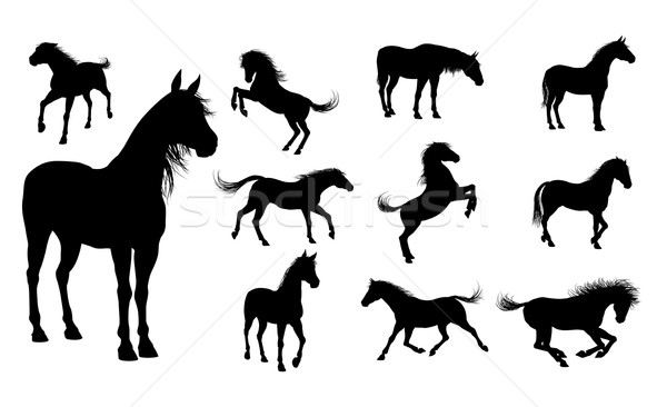 Silhouette Horses Stock photo © Krisdog