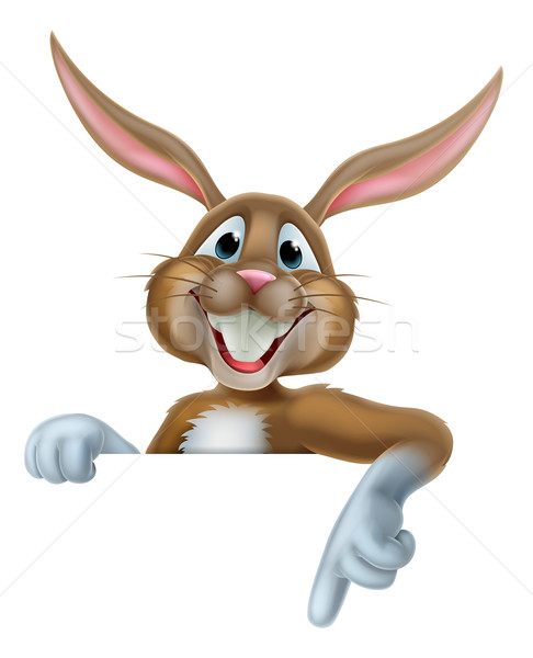 Пасхальный заяц указывая Cartoon кролик знак Пасху Сток-фото © Krisdog
