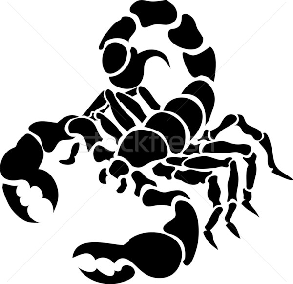 Foto stock: Escorpión · ilustración · monocromo · signo · animales · tatuaje