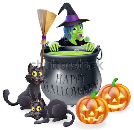 Witch cat pumpkins and crystal ball Stock photo © Krisdog
