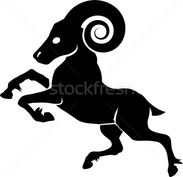 ram illustration Stock photo © Krisdog