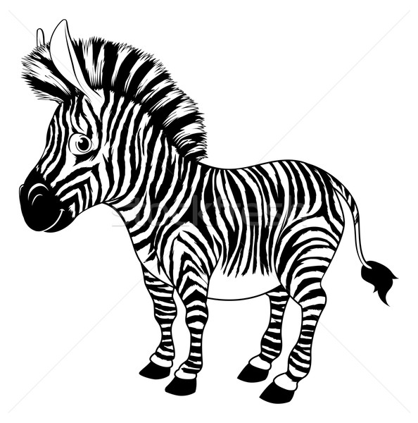 Zwart wit cartoon zebra illustratie kinderen natuur Stockfoto © Krisdog