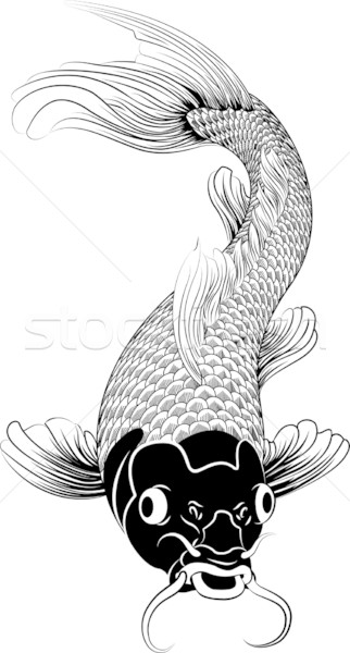 Kohaku koi carp fish illustration Stock photo © Krisdog