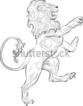 Lion Illustration Stock photo © Krisdog