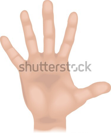 Stock photo: hand Illustration