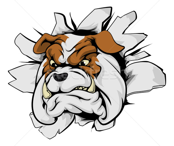 Bulldog przełom sportowe maskotka charakter na zewnątrz Zdjęcia stock © Krisdog