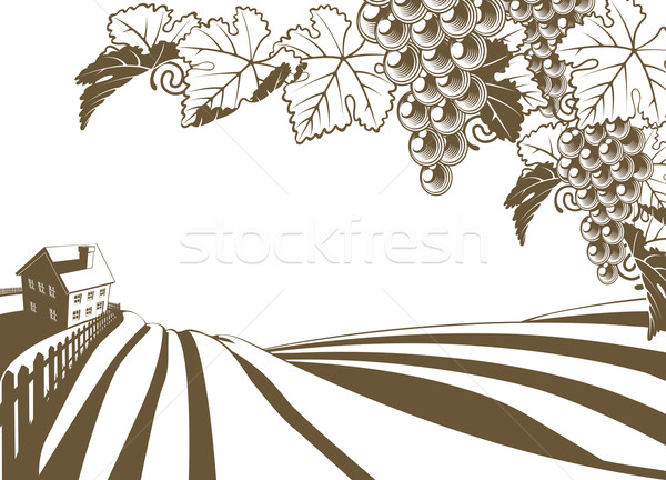 Weinberg Weinrebe Bauernhof Illustration Hugeln Trauben Vektor Grafiken C Krisdog 3442966 Stockfresh