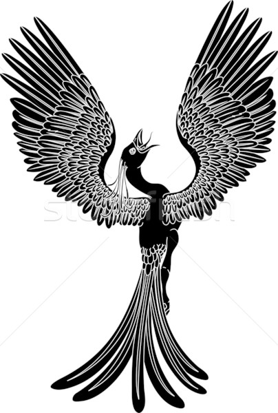 Monocromático phoenix preto e branco pose asas projeto Foto stock © Krisdog