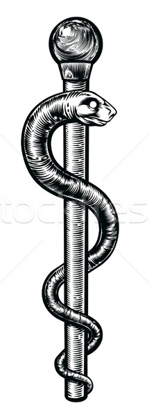 Rúd személyzet klasszikus stílus szimbólum kígyó Stock fotó © Krisdog