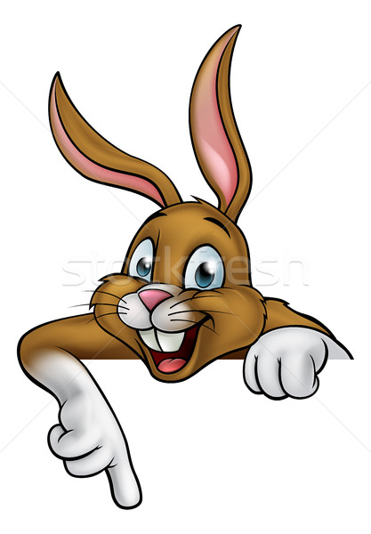 Cartoon Пасхальный заяц кролик указывая счастливым фон Сток-фото © Krisdog