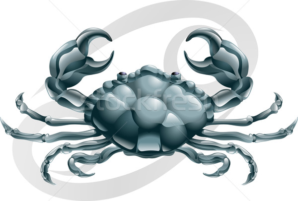 Cancer the crab star sign Stock photo © Krisdog