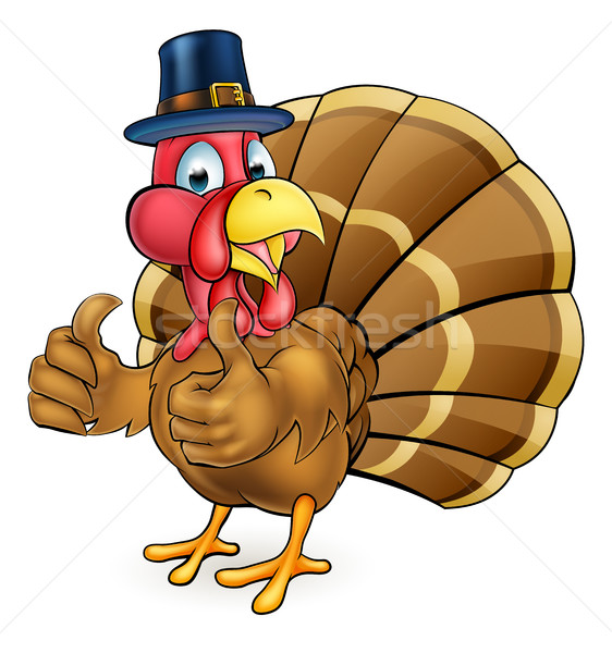 Cartoon Thanksgiving Turkey Bird in Pilgrims Hat Stock photo © Krisdog