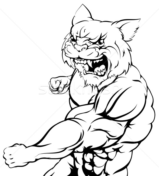 Wildcat mascot fighting Stock photo © Krisdog