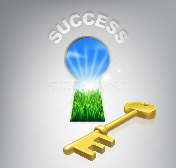 Key to Success Stock photo © Krisdog