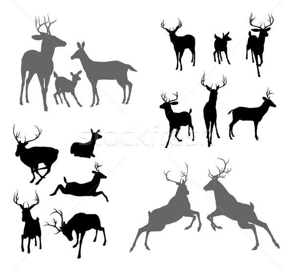 Deer stag fawn and doe silhouettes Stock photo © Krisdog