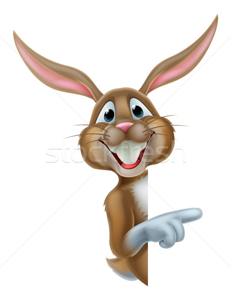 Пасхальный заяц кролик указывая Cartoon Пасху счастливым Сток-фото © Krisdog