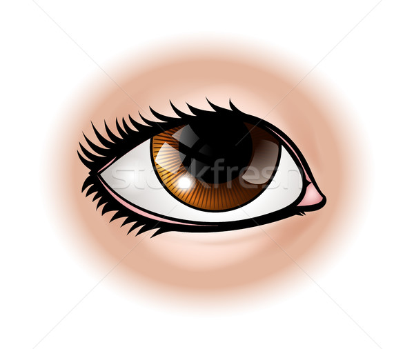 Eye Body Part Stock photo © Krisdog